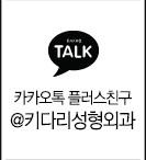 플친